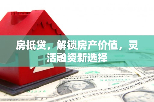 杂多房抵贷，解锁房产价值，灵活融资新选择