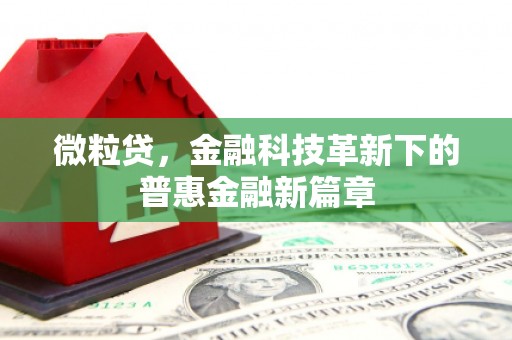 杂多微粒贷，金融科技革新下的普惠金融新篇章