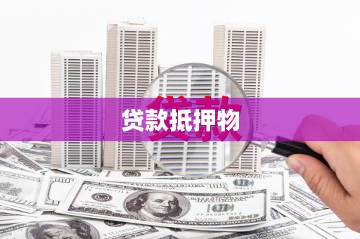 杂多贷款抵押物