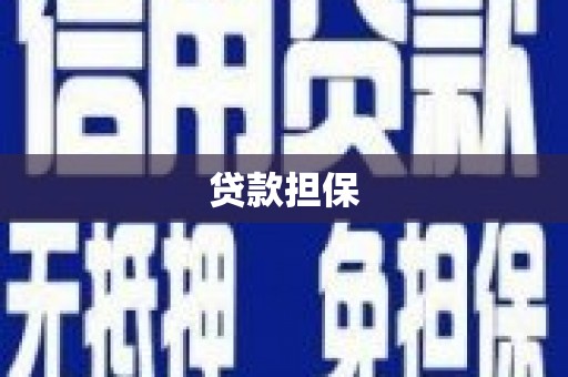 杂多贷款担保