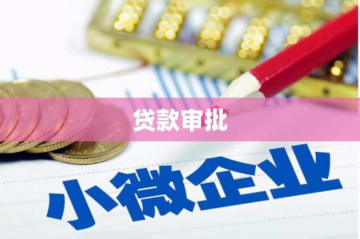 杂多贷款审批