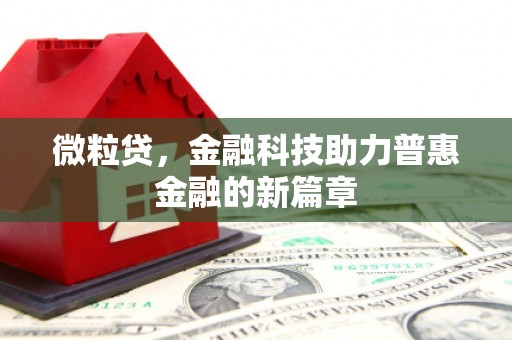 杂多微粒贷，金融科技助力普惠金融的新篇章