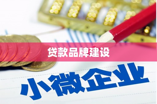 杂多贷款品牌建设