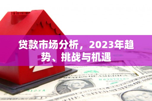 杂多贷款市场分析，2023年趋势、挑战与机遇