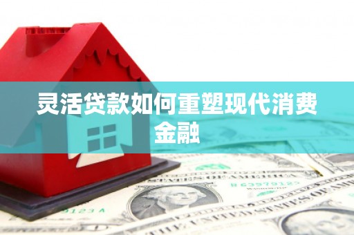 杂多灵活贷款如何重塑现代消费金融