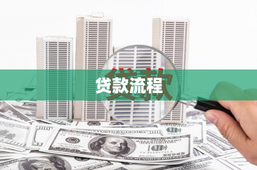 杂多贷款流程