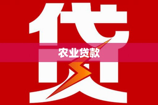 杂多农业贷款