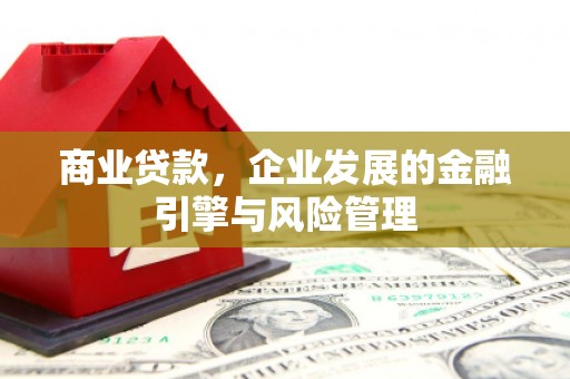 杂多商业贷款，企业发展的金融引擎与风险管理