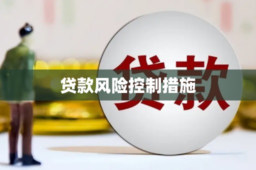 杂多贷款风险控制措施