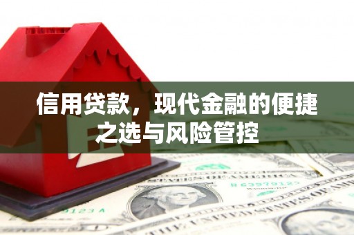 杂多信用贷款，现代金融的便捷之选与风险管控