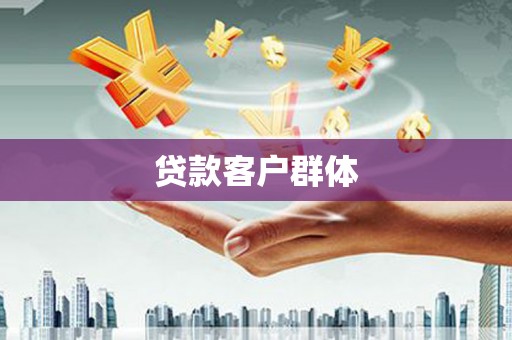 杂多贷款客户群体