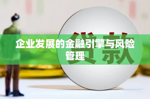 杂多企业发展的金融引擎与风险管理
