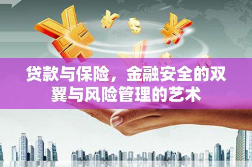 杂多贷款与保险，金融安全的双翼与风险管理的艺术