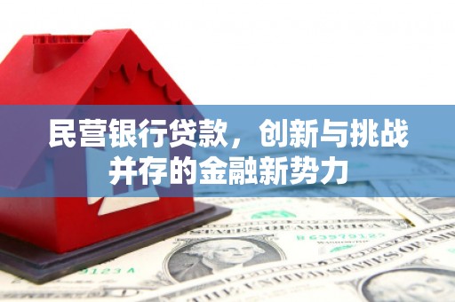 杂多民营银行贷款，创新与挑战并存的金融新势力