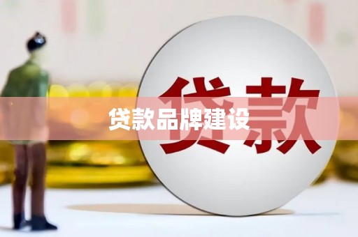 杂多贷款品牌建设