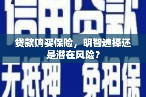 杂多贷款购买保险，明智选择还是潜在风险？