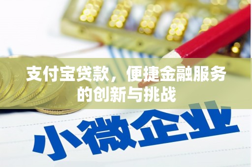 杂多支付宝贷款，便捷金融服务的创新与挑战