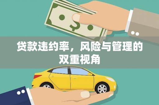 杂多贷款违约率，风险与管理的双重视角