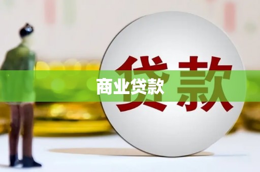 杂多商业贷款