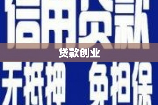 杂多贷款创业