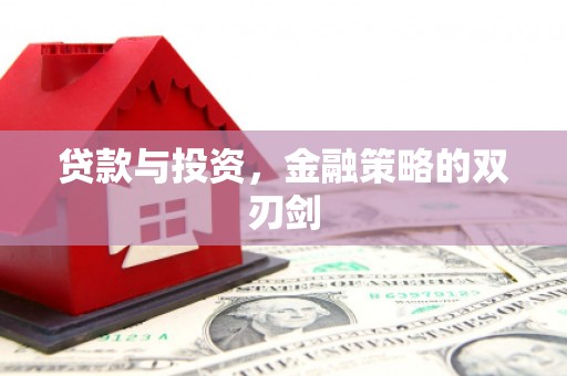 杂多贷款与投资，金融策略的双刃剑