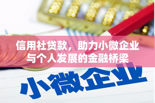 杂多信用社贷款，助力小微企业与个人发展的金融桥梁