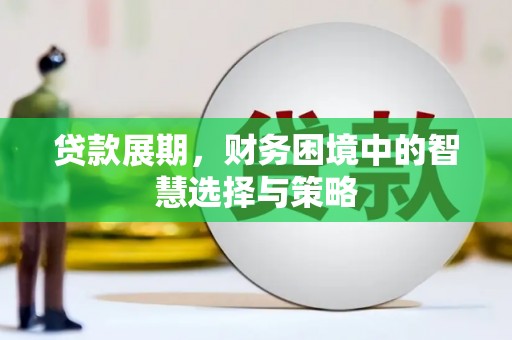 杂多贷款展期，财务困境中的智慧选择与策略