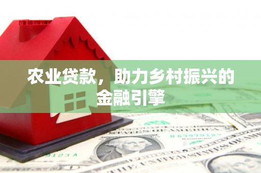 杂多农业贷款，助力乡村振兴的金融引擎