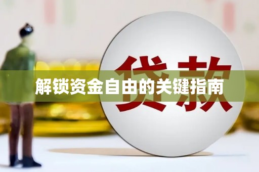 杂多解锁资金自由的关键指南