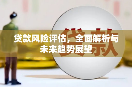 杂多贷款风险评估，全面解析与未来趋势展望
