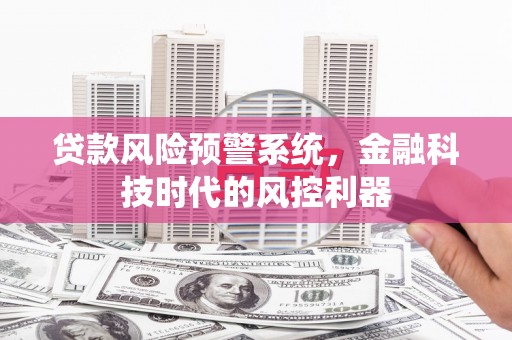 杂多贷款风险预警系统，金融科技时代的风控利器
