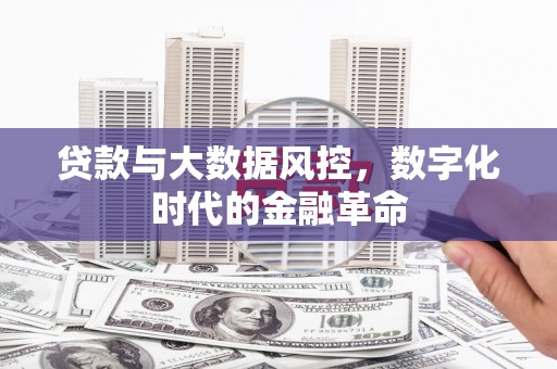 杂多贷款与大数据风控，数字化时代的金融革命
