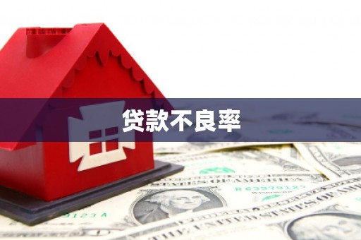 杂多贷款不良率
