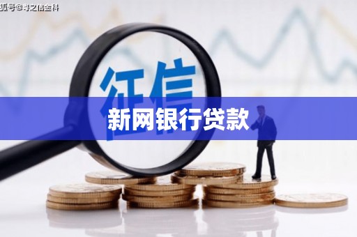 杂多新网银行贷款