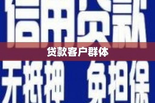 杂多贷款客户群体