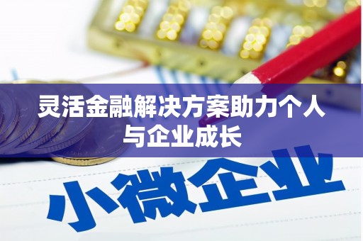 杂多灵活金融解决方案助力个人与企业成长