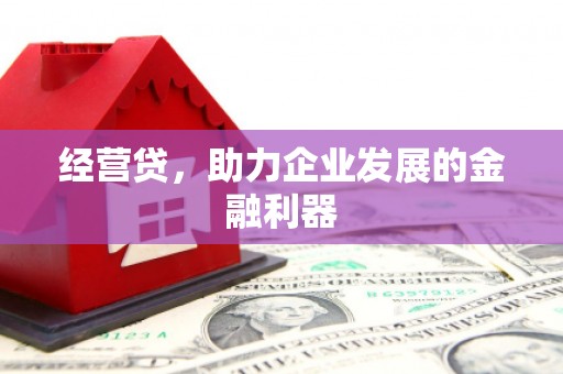 杂多经营贷，助力企业发展的金融利器