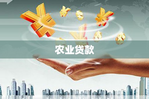 杂多农业贷款
