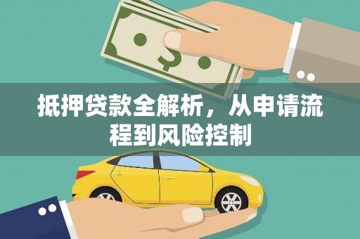杂多抵押贷款全解析，从申请流程到风险控制