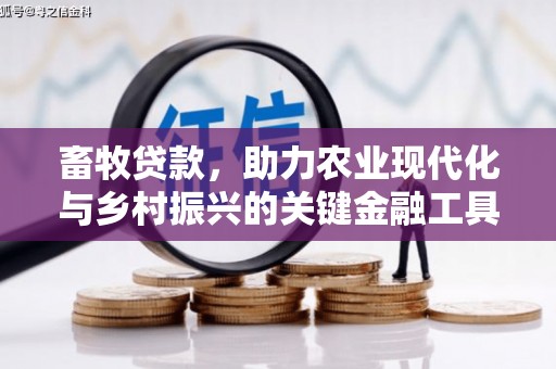 杂多畜牧贷款，助力农业现代化与乡村振兴的关键金融工具