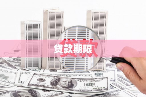杂多贷款期限