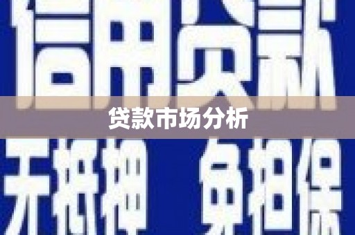 杂多贷款市场分析
