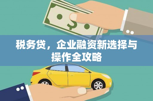 杂多税务贷，企业融资新选择与操作全攻略