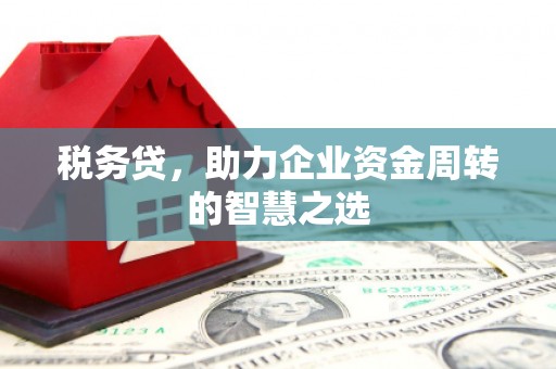 杂多税务贷，助力企业资金周转的智慧之选