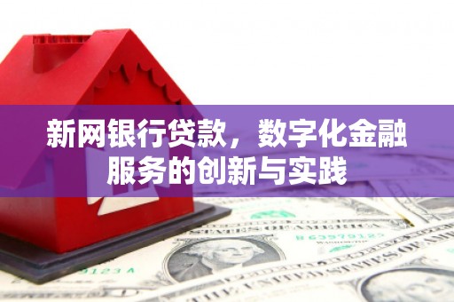 杂多新网银行贷款，数字化金融服务的创新与实践