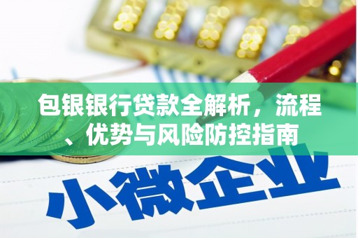 杂多包银银行贷款全解析，流程、优势与风险防控指南