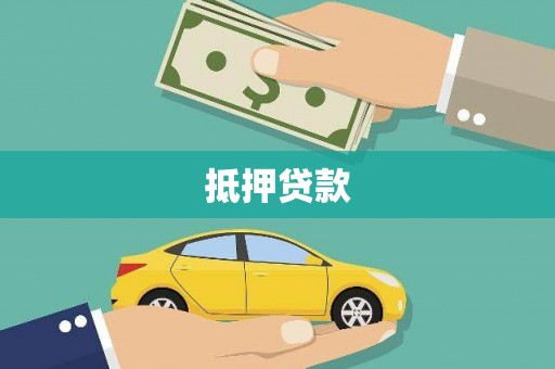 杂多抵押贷款