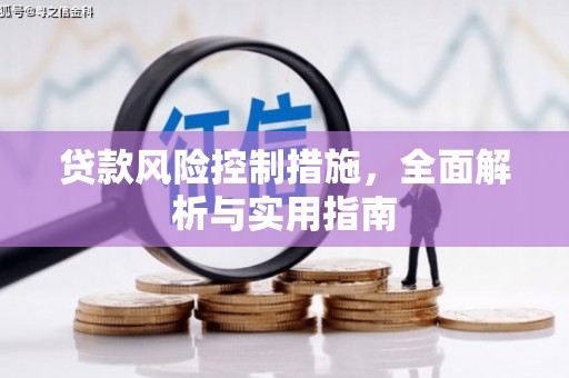 杂多贷款风险控制措施，全面解析与实用指南