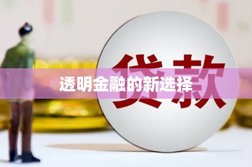 杂多透明金融的新选择