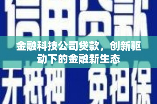 杂多金融科技公司贷款，创新驱动下的金融新生态